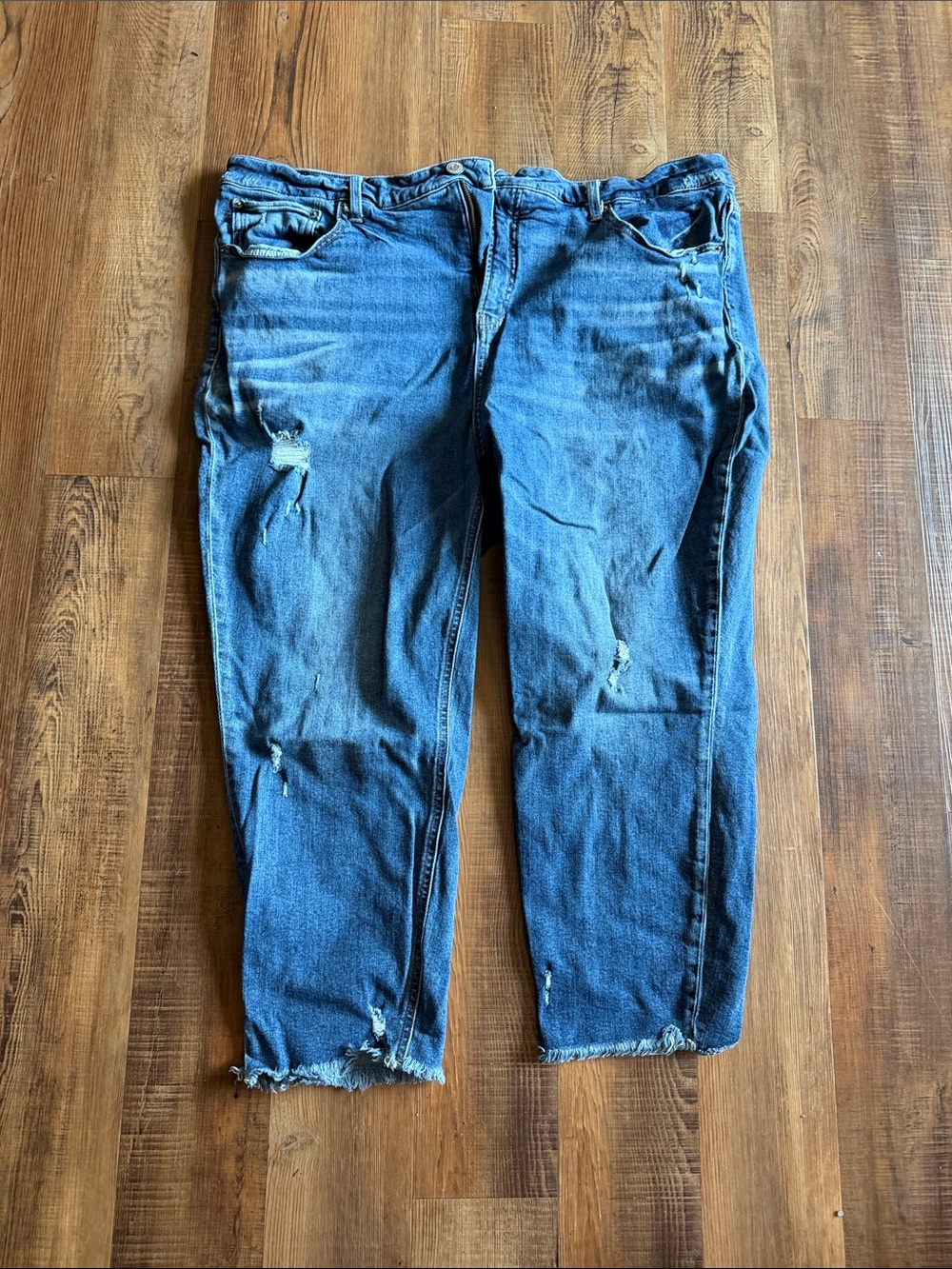 Terra & Sky Distressed Blue Ankle Jeans